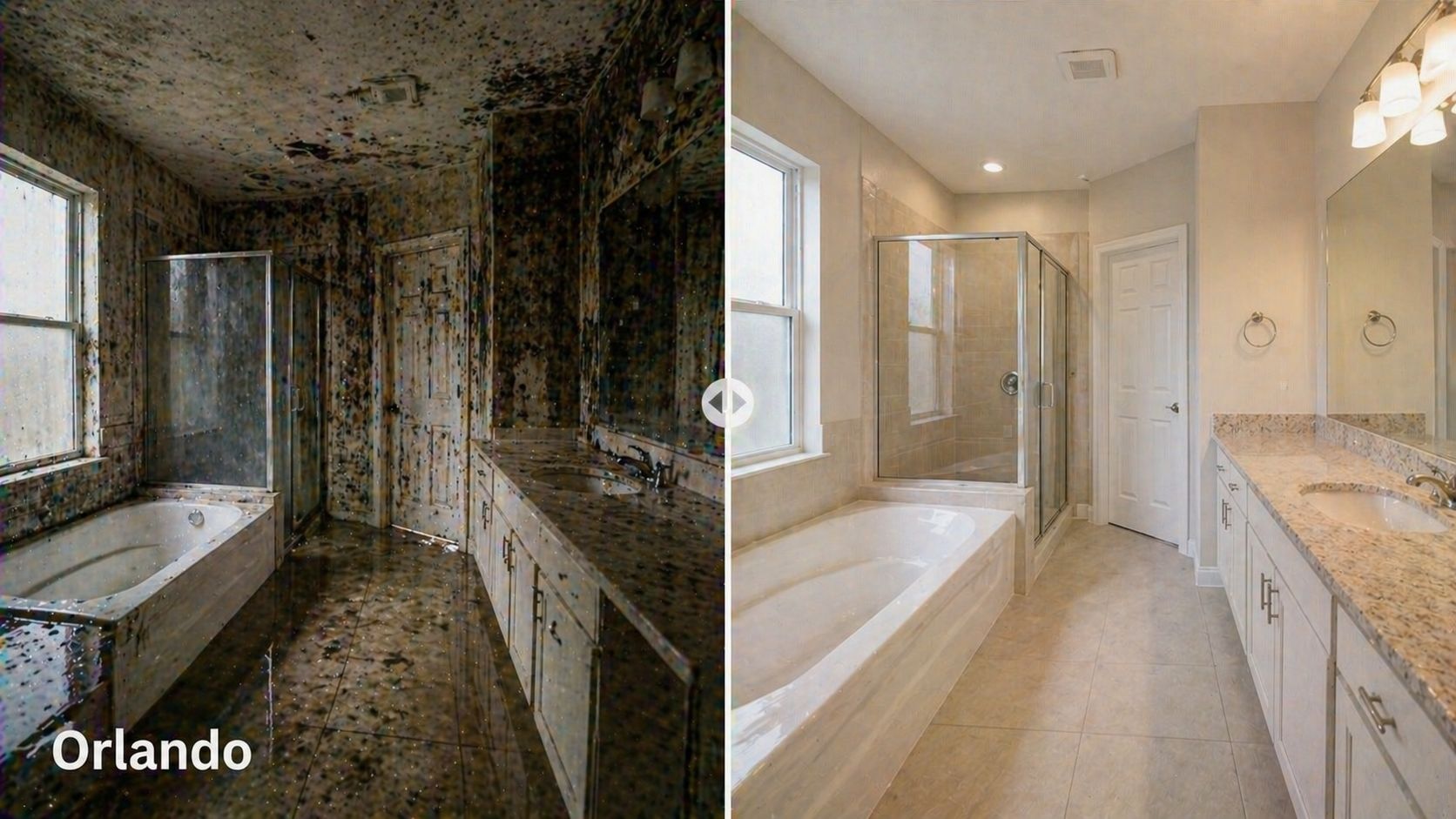 Mold Remediation Miami FL